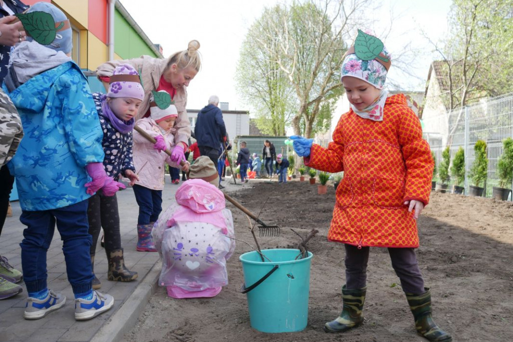 Dzieci z przedszkola Miś posadziły drzewka