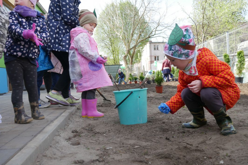 Dzieci z przedszkola Miś posadziły drzewka