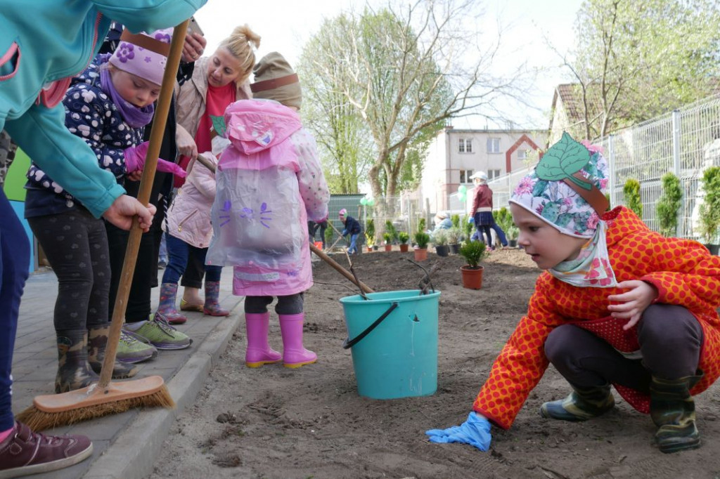 Dzieci z przedszkola Miś posadziły drzewka