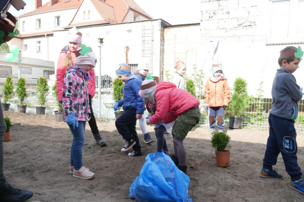 Dzieci z przedszkola Miś posadziły drzewka