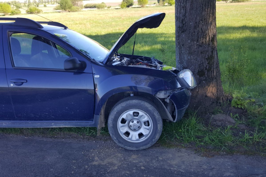 Dacia czołowo uderzyła w drzewo
