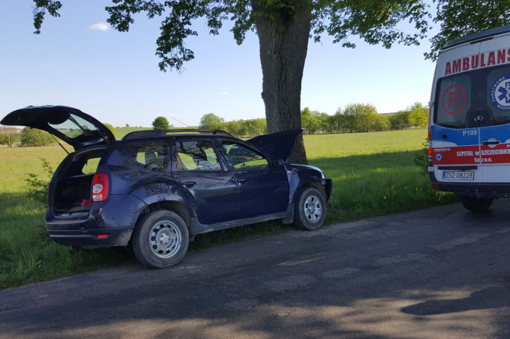 Dacia czołowo uderzyła w drzewo