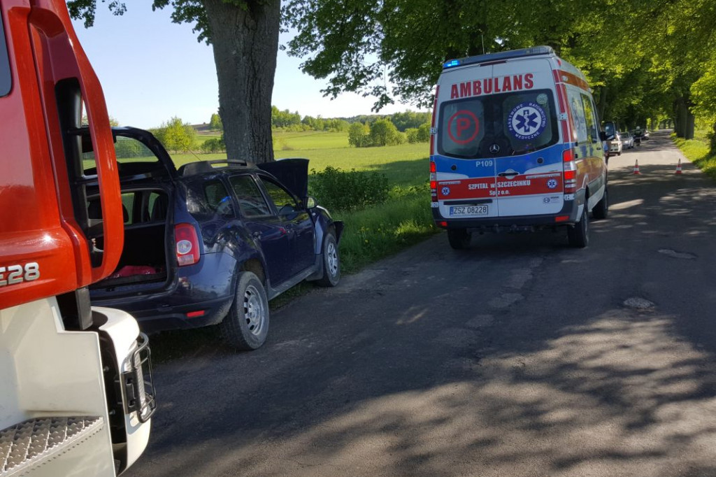 Dacia czołowo uderzyła w drzewo