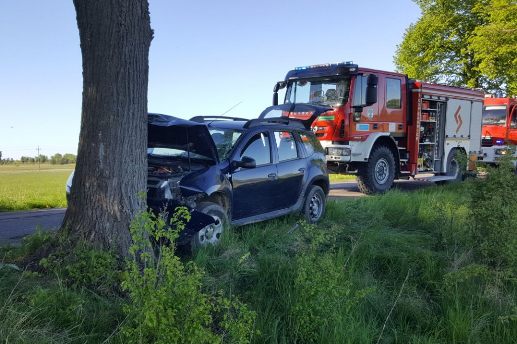 Dacia czołowo uderzyła w drzewo
