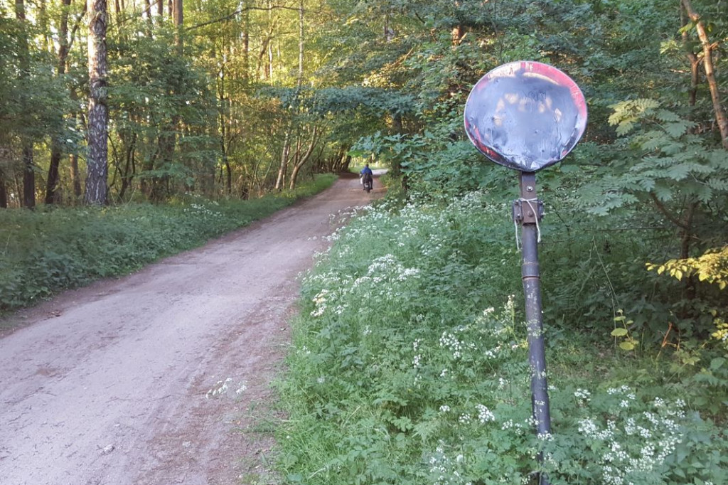 WIERZCHOWO. Zniszczyli slip