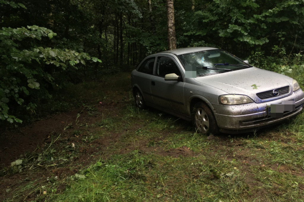 Opel uderzył w drzewo