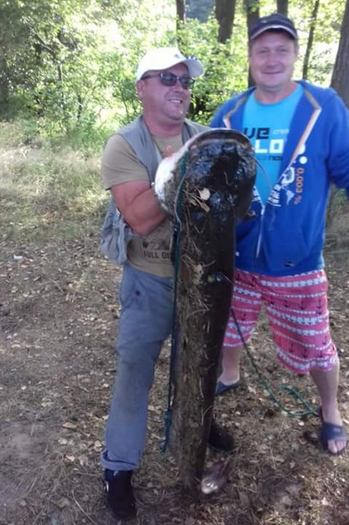 NA RYBY. ?Potwory? z Zalewów Nadarzyckich