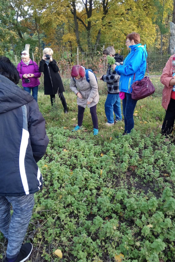 Klub Na Obcasach - Wypiek chałek - Juchowo EkoFarm
