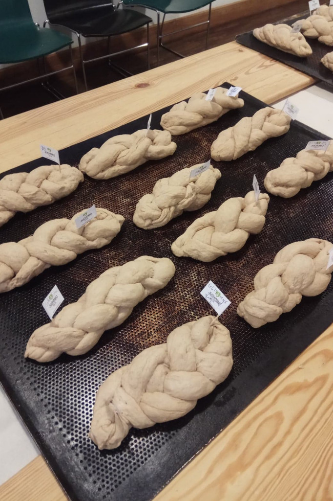 Klub Na Obcasach - Wypiek chałek - Juchowo EkoFarm