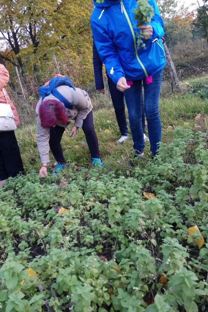 Klub Na Obcasach - Wypiek chałek - Juchowo EkoFarm