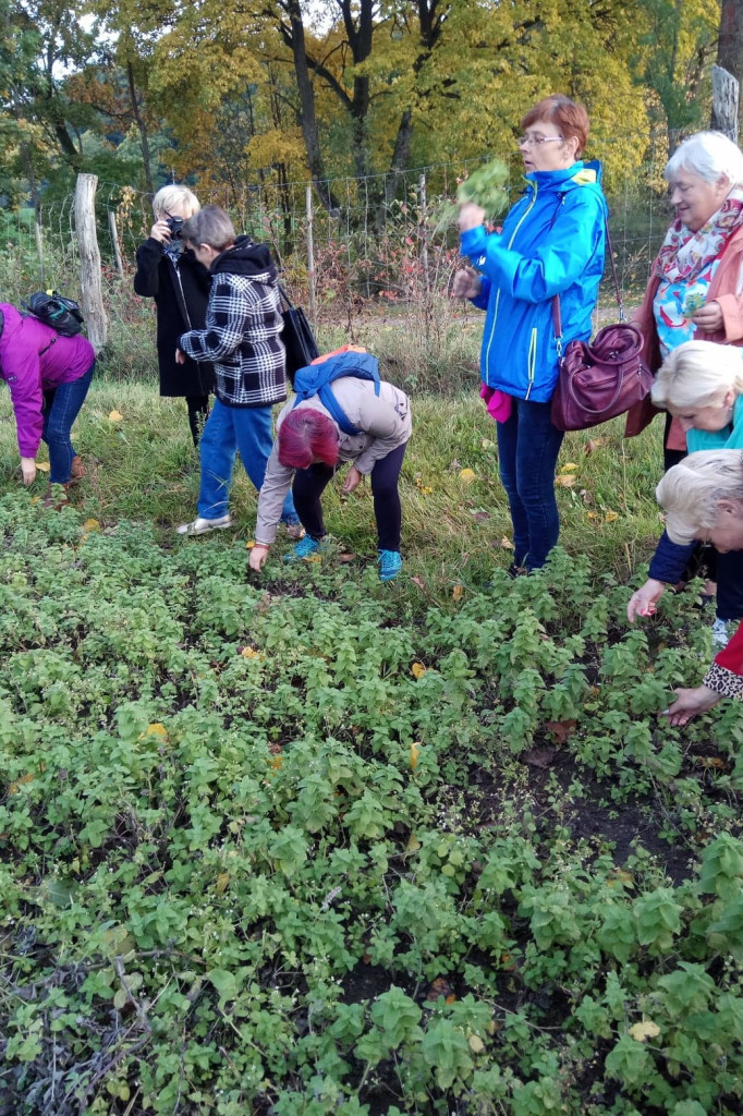 Klub Na Obcasach - Wypiek chałek - Juchowo EkoFarm
