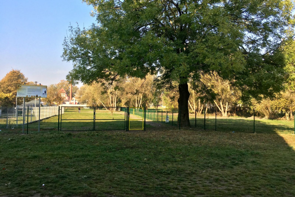 Drugi miejski wybieg dla psów już gotowy