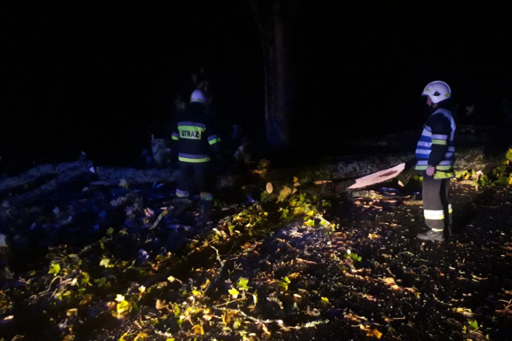 Efekty wichury w Szczecinku i w regionie - wichury w Polsce, połamane drzewa, podtopienia.