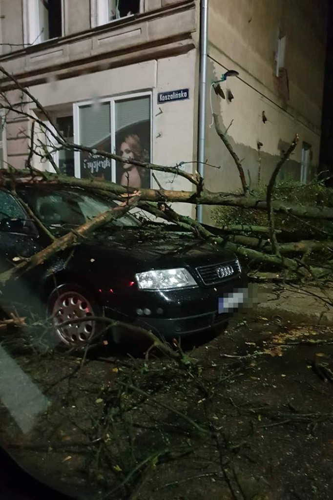 Efekty wichury w Szczecinku i w regionie - wichury w Polsce, połamane drzewa, podtopienia.
