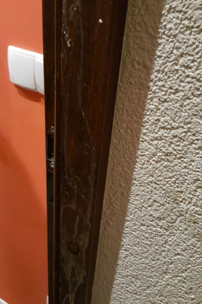 Halloween czy brak kultury?