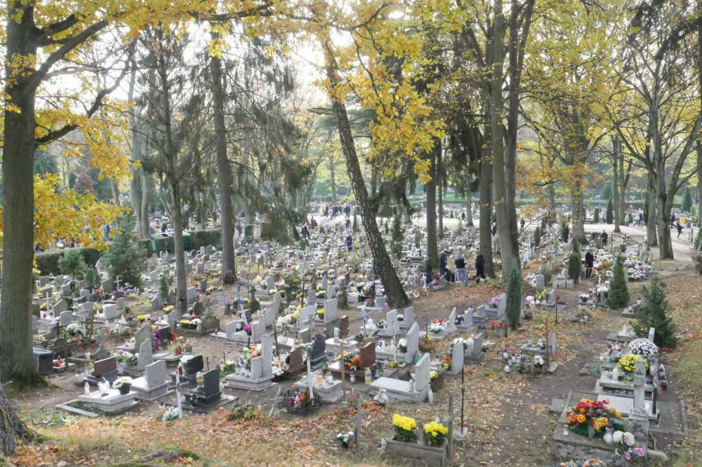 Cmentarz 1 listopada 2018 Szczecinek