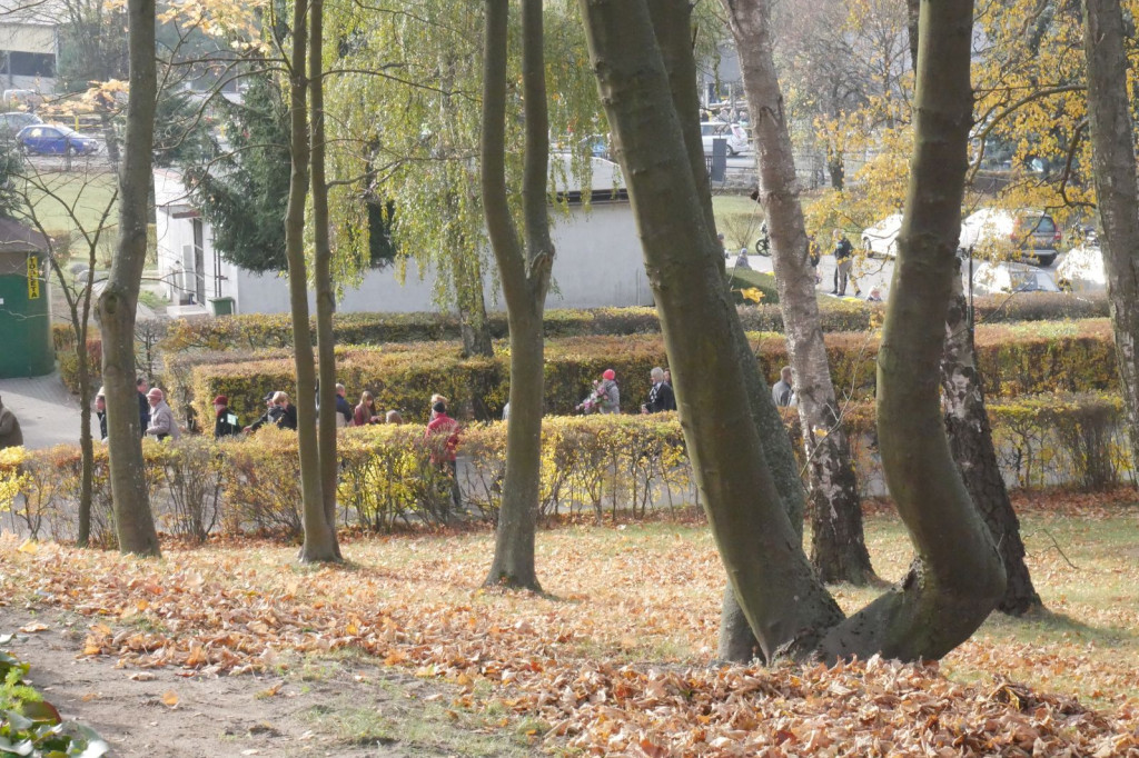 Cmentarz 1 listopada 2018 Szczecinek