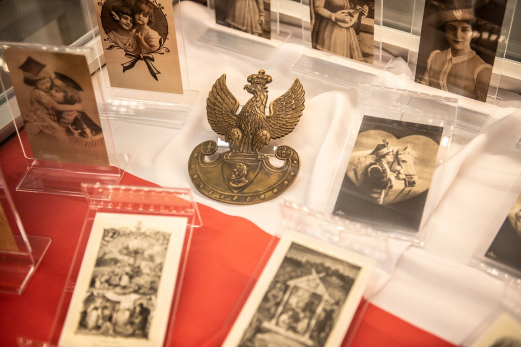 Borneńska wieczornica