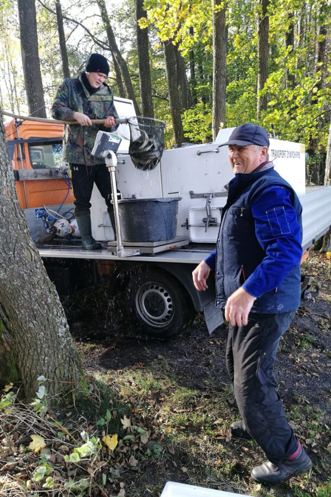 Zarybianie szczupakiem jeziora Wierzchowo