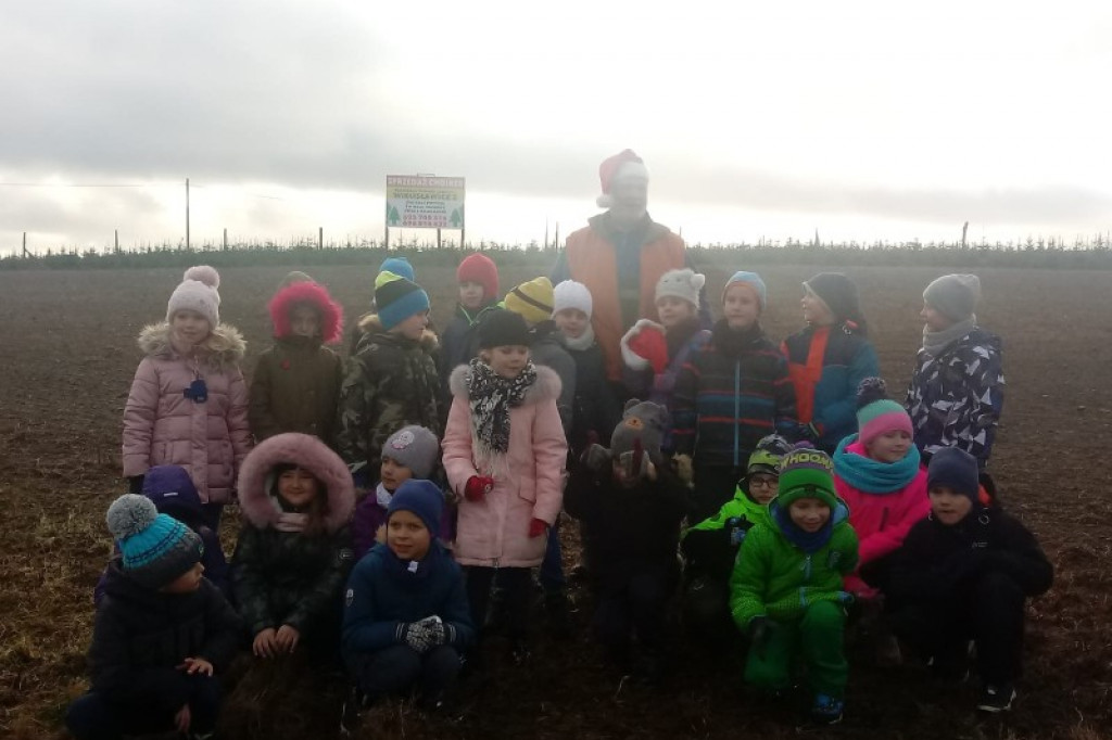 Choinka musi być idealna! Pierwszaki o tym już wiedzą