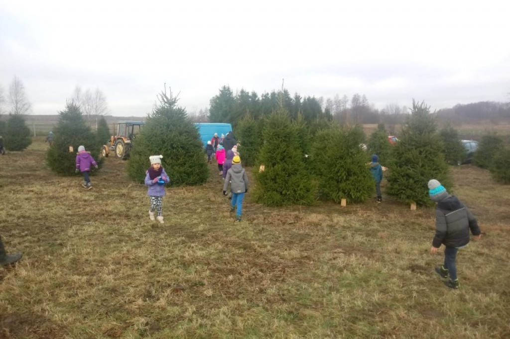 Choinka musi być idealna! Pierwszaki o tym już wiedzą