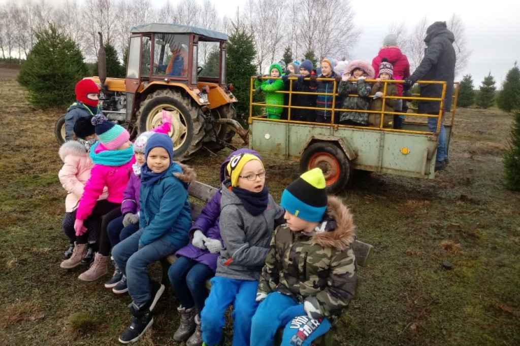 Choinka musi być idealna! Pierwszaki o tym już wiedzą