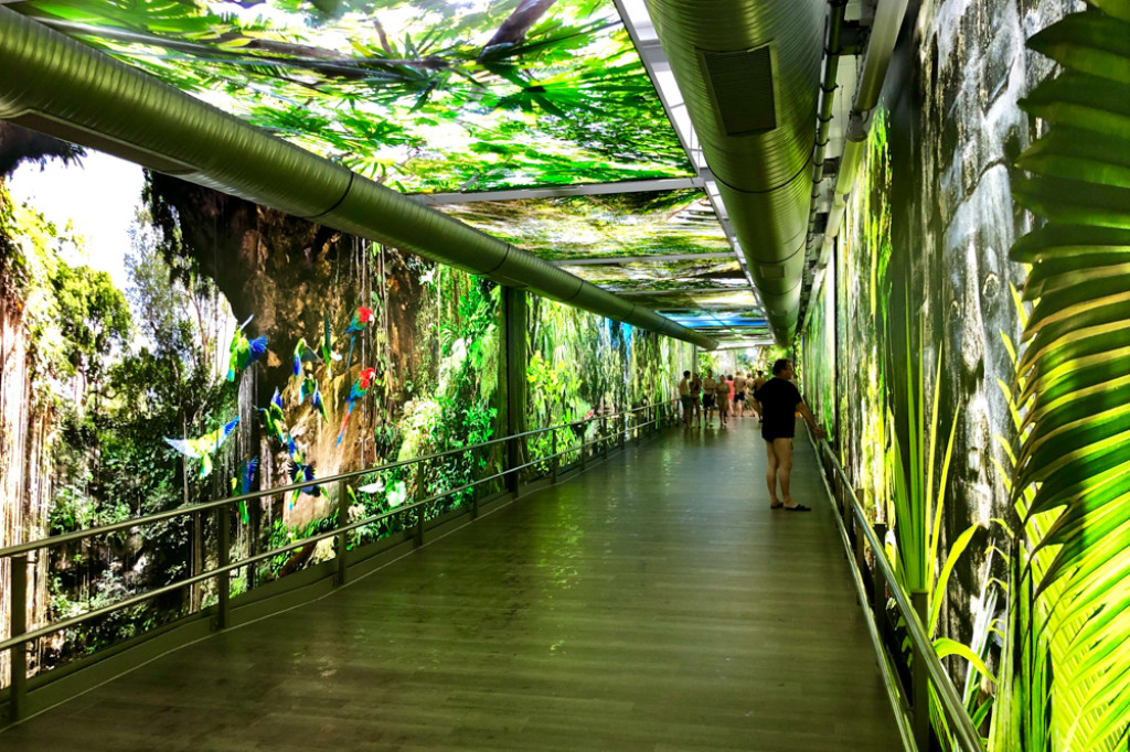 Wypad na tropikalną wyspę - Borne Sulinowo