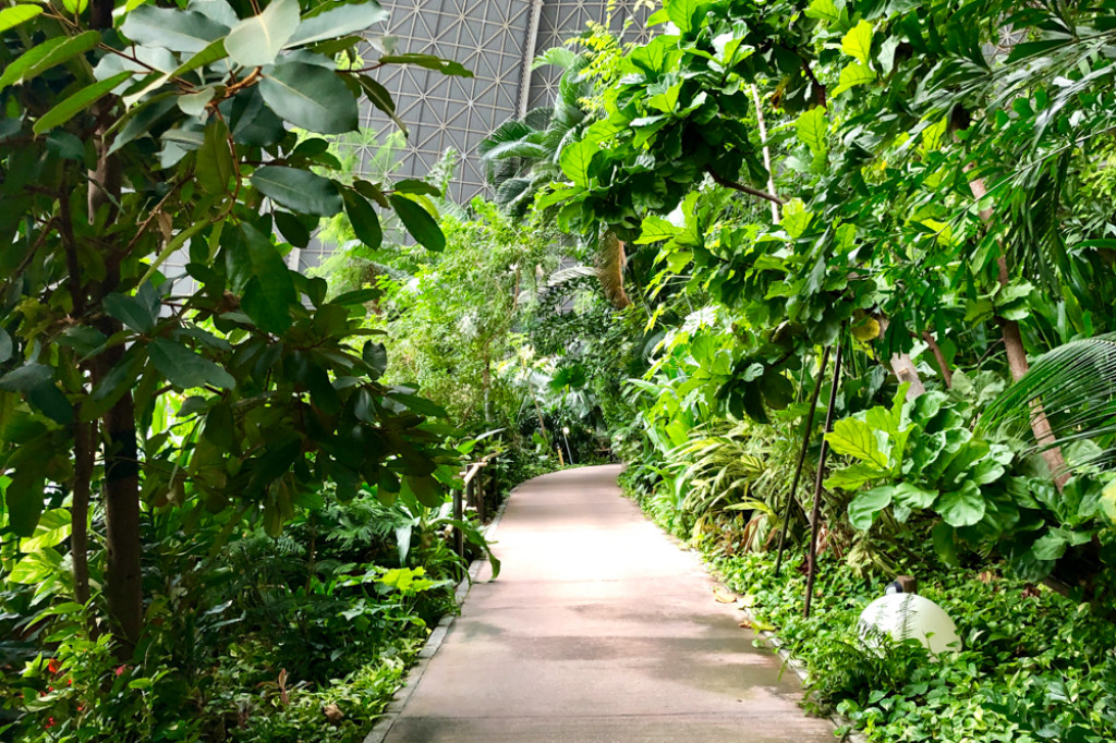 Wypad na tropikalną wyspę - Borne Sulinowo