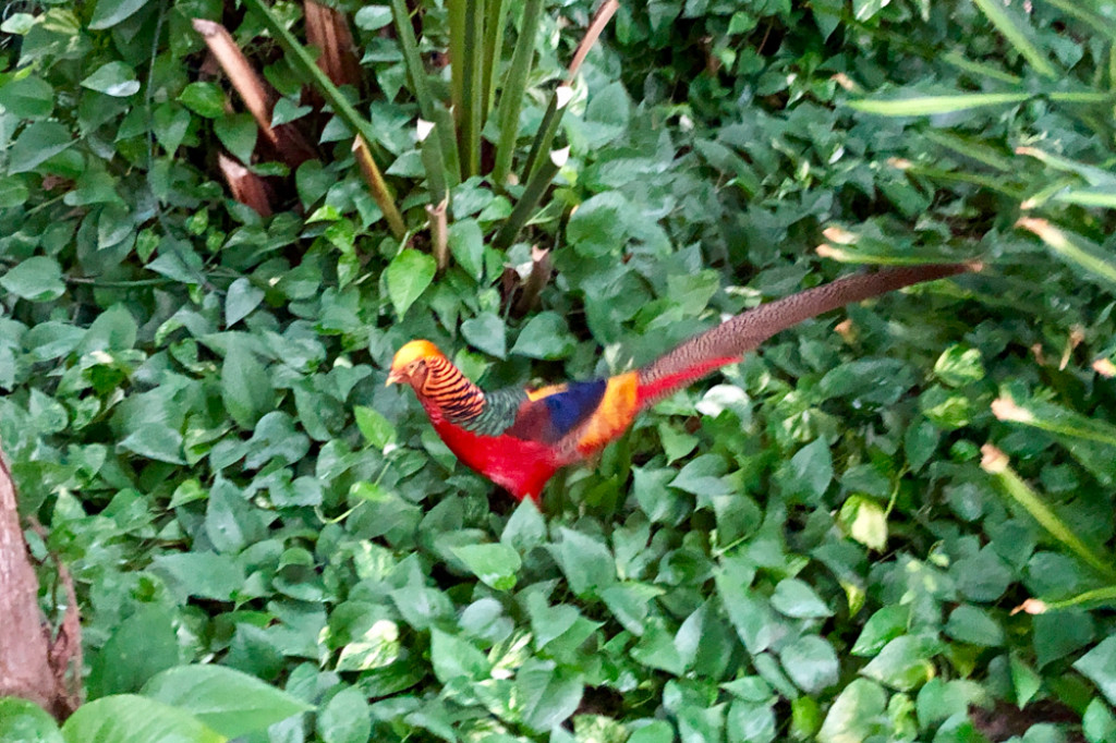 Wypad na tropikalną wyspę - Borne Sulinowo