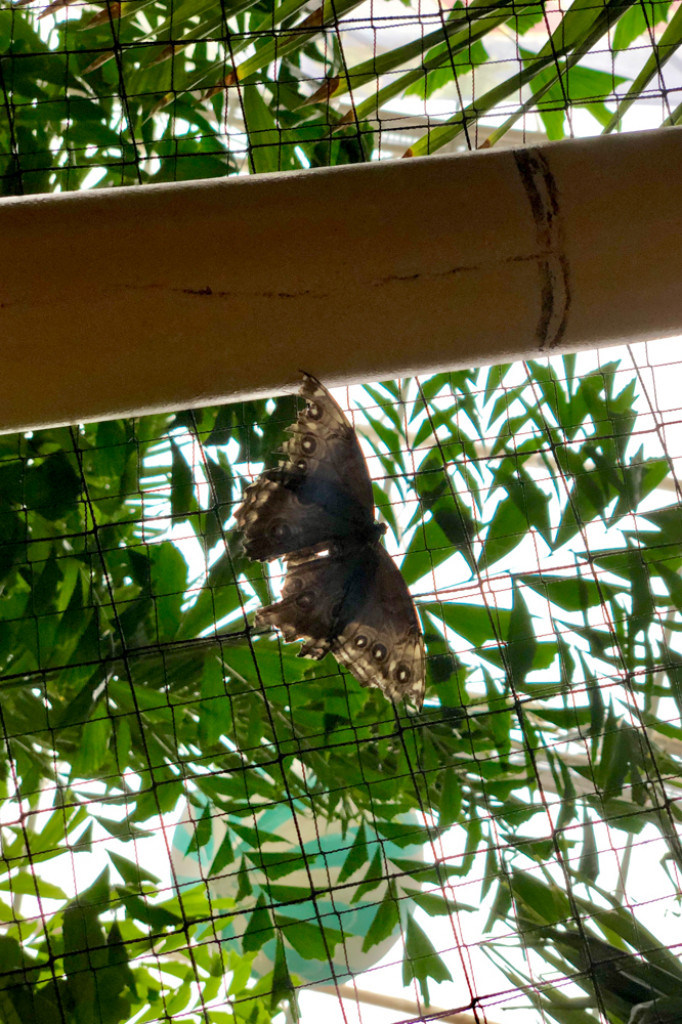 Wypad na tropikalną wyspę - Borne Sulinowo