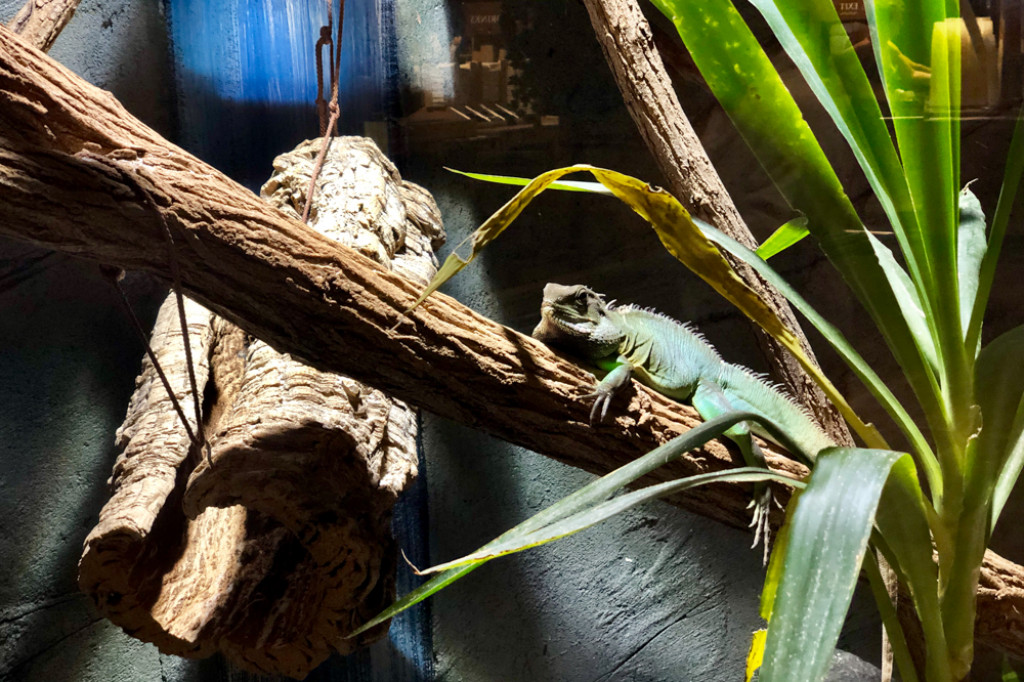 Wypad na tropikalną wyspę - Borne Sulinowo