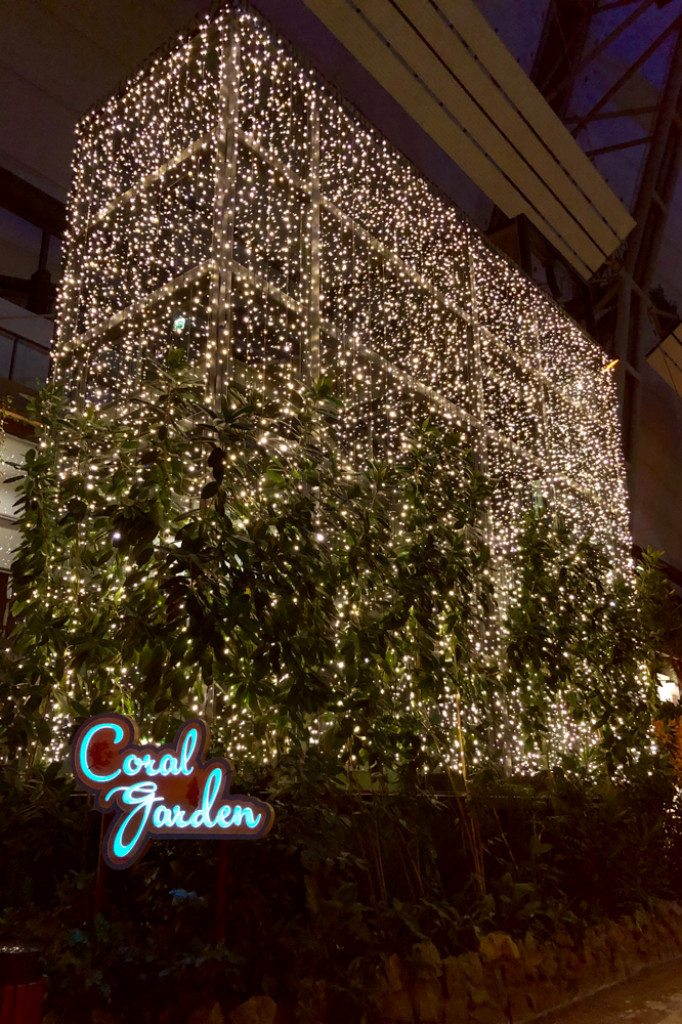 Wypad na tropikalną wyspę - Borne Sulinowo