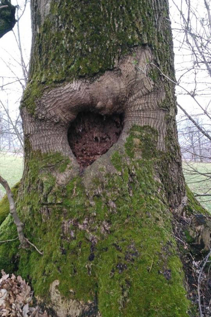 Chcą uzdrowiska w Bornem - grupa mieszkańców z Bornego Sulinowa
