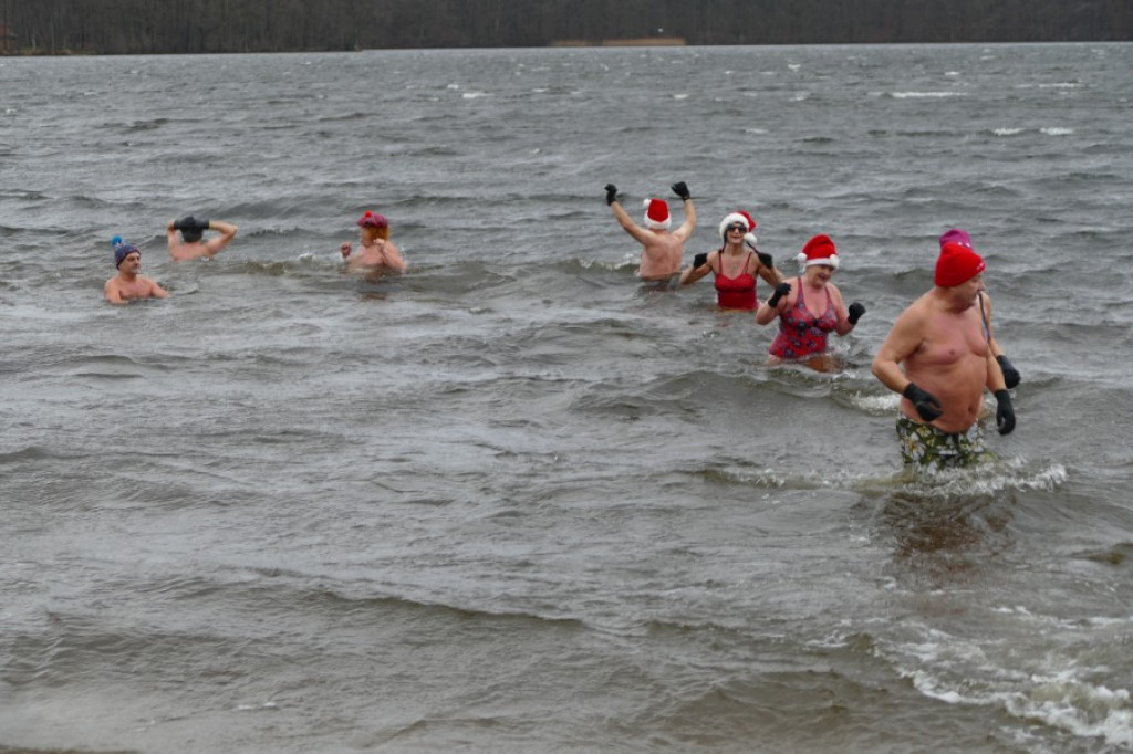 Płetwonurkowie i morsy przywitali Nowy Rok w wodach Trzesiecka