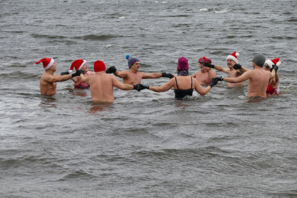 Płetwonurkowie i morsy przywitali Nowy Rok w wodach Trzesiecka