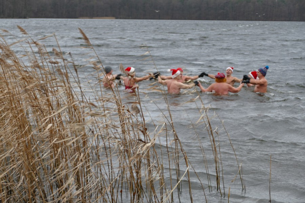 Płetwonurkowie i morsy przywitali Nowy Rok w wodach Trzesiecka