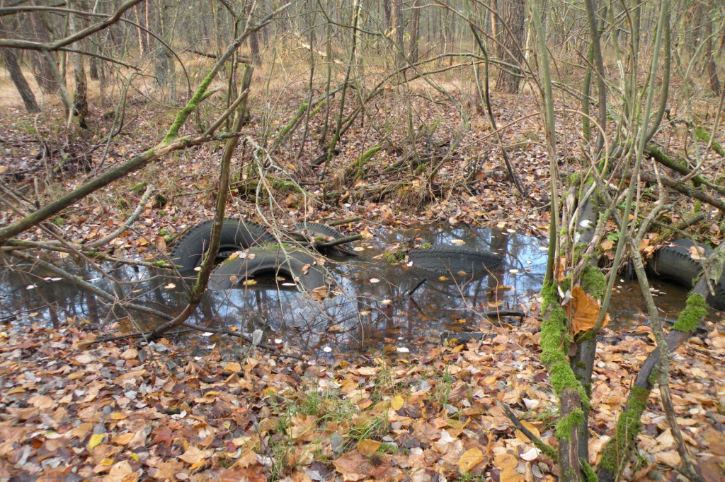 Lasek Zachodni, Szczecinek, za dużym bunkrem - sterta opon