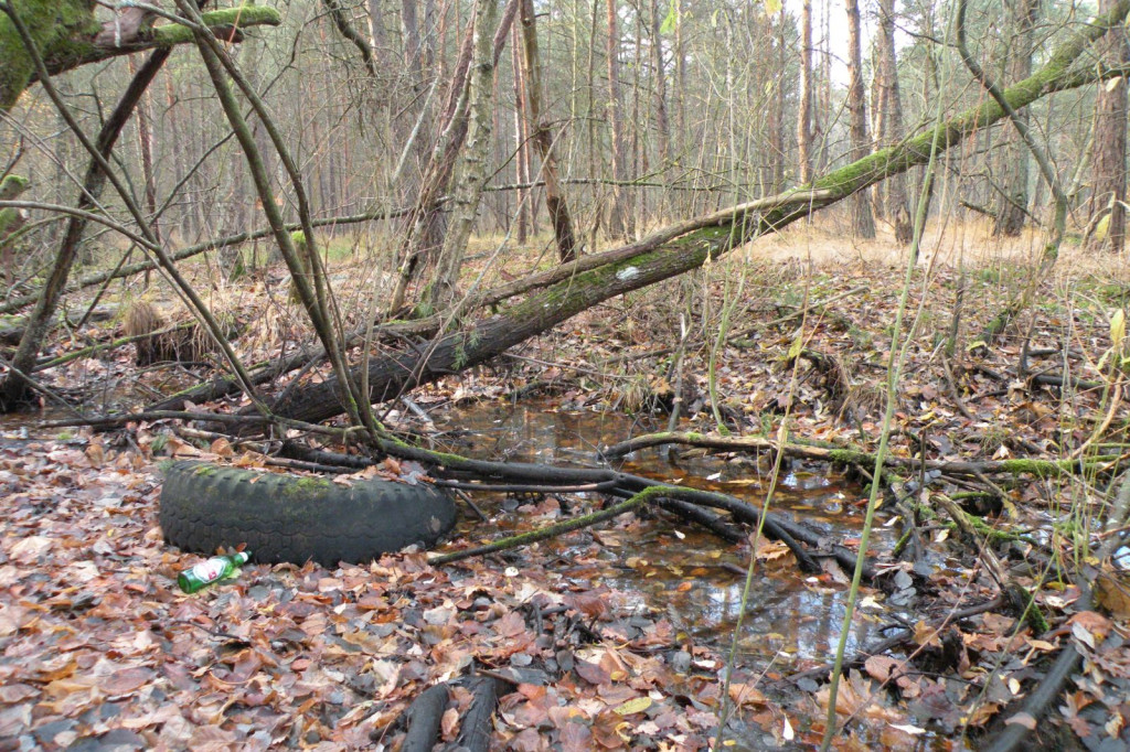 Lasek Zachodni, Szczecinek, za dużym bunkrem - sterta opon
