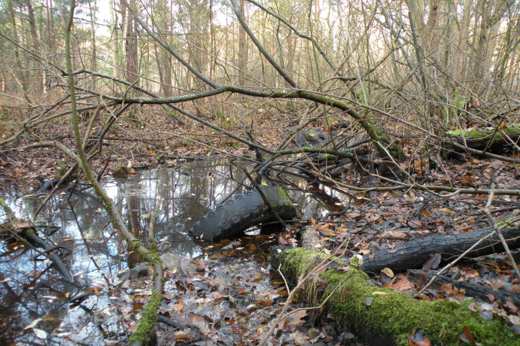 Lasek Zachodni, Szczecinek, za dużym bunkrem - sterta opon