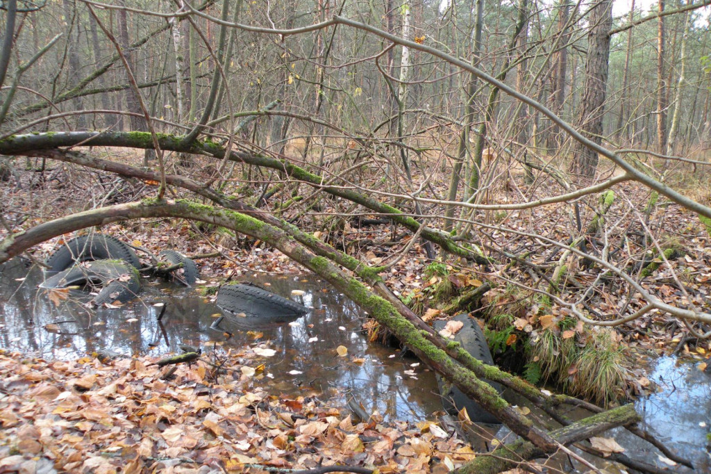 Lasek Zachodni, Szczecinek, za dużym bunkrem - sterta opon