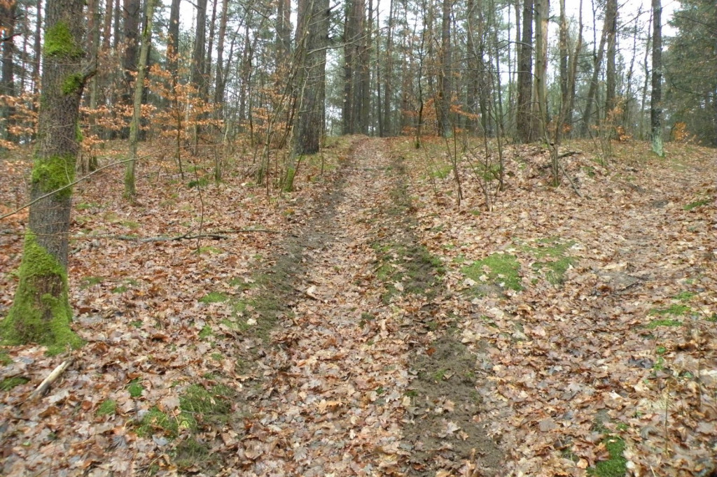 Lasek Zachodni, Szczecinek, za dużym bunkrem - sterta opon