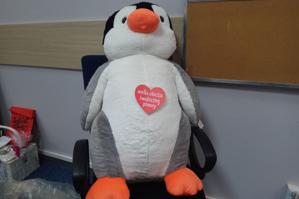 Przedmioty na licytację 27 Finał WOŚP