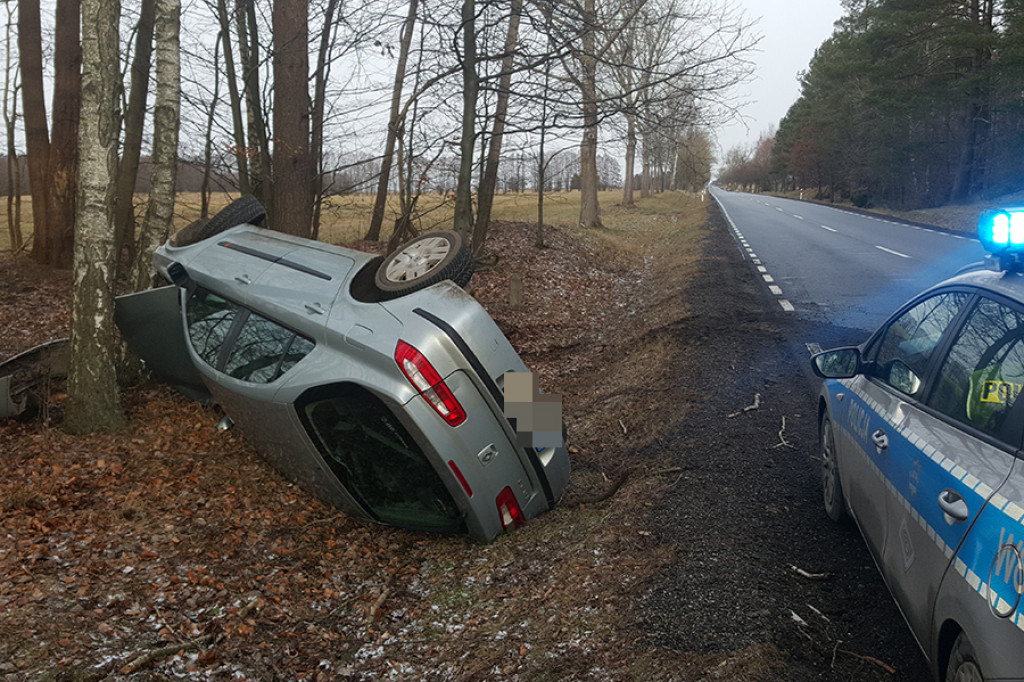 Renault wypadł z drogi na krajowej ?dwudziestce?