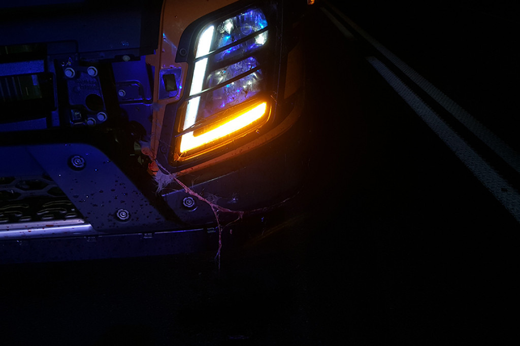 Sarna wpadła pod dwa samochody