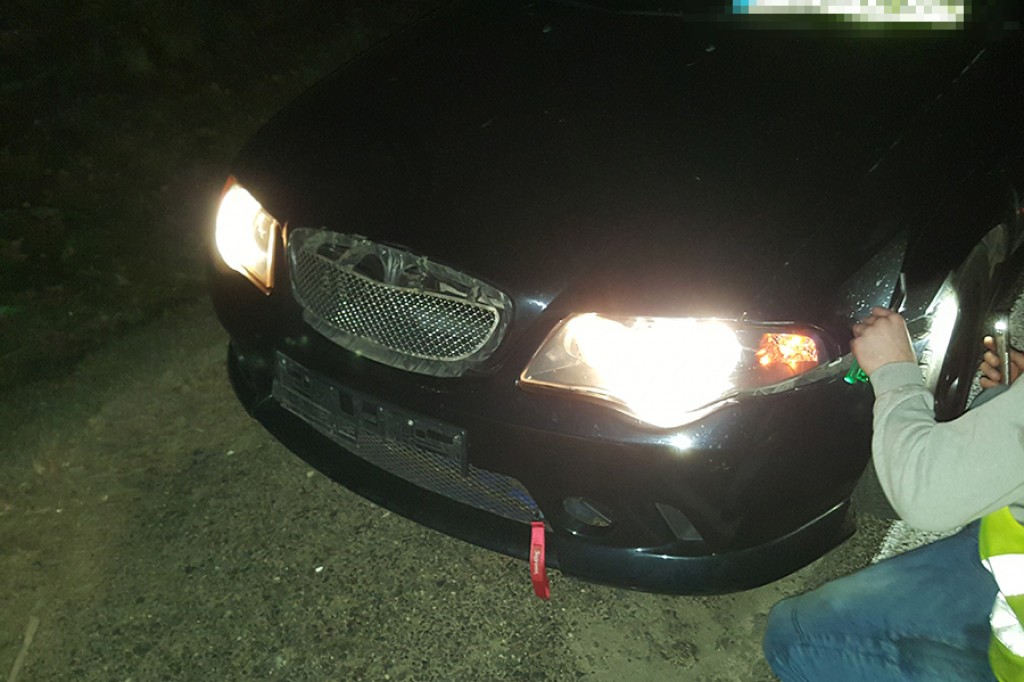 Sarna wpadła pod dwa samochody