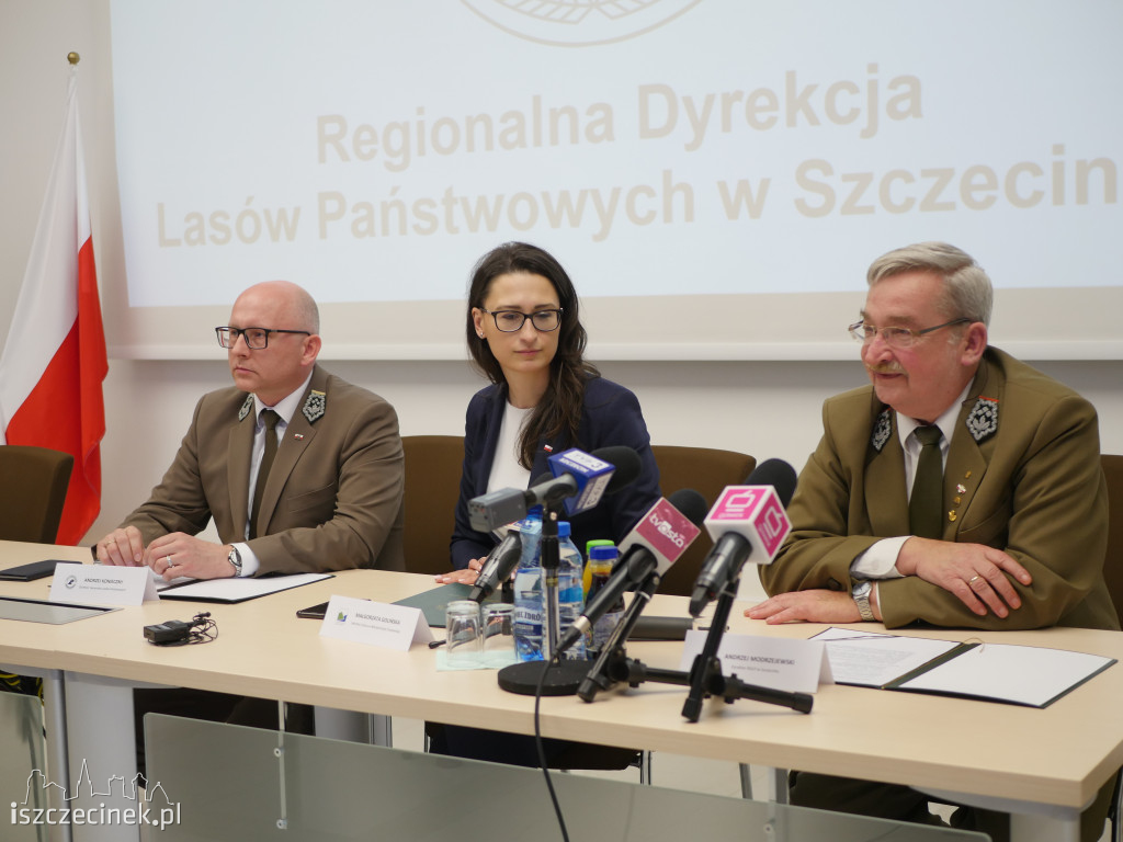 Jedno dziecko, jedno drzewo