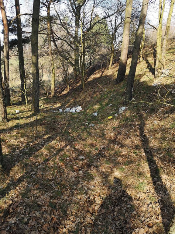 Trash Challenge - świetna akcja dotarła do Szczecinka