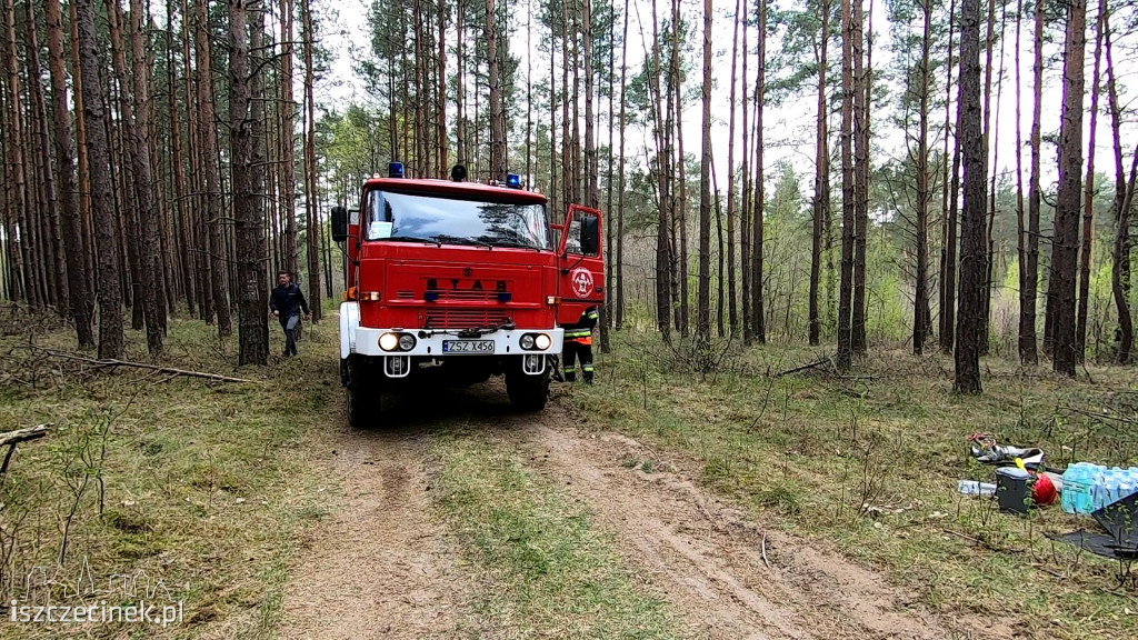 Potężny pożar lasu. Strażacy walczą z ogniem