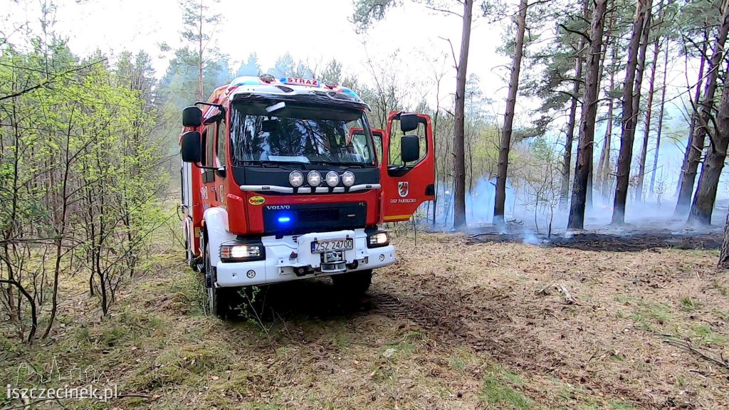 Potężny pożar lasu. Strażacy walczą z ogniem