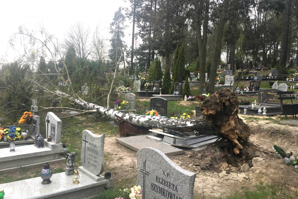 Wiatr powalił drzewo na nagrobki